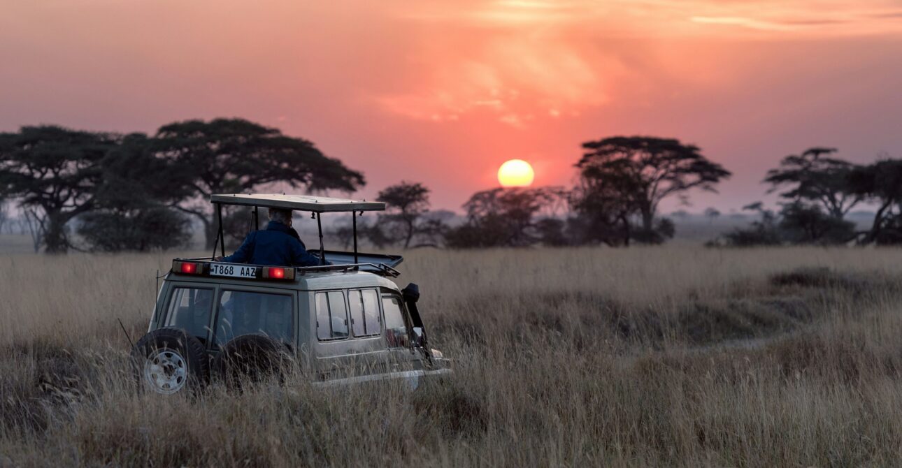 Nature Bound Africa Private Game Drive Tanzania: The Ultimate Personalized Safari Experience