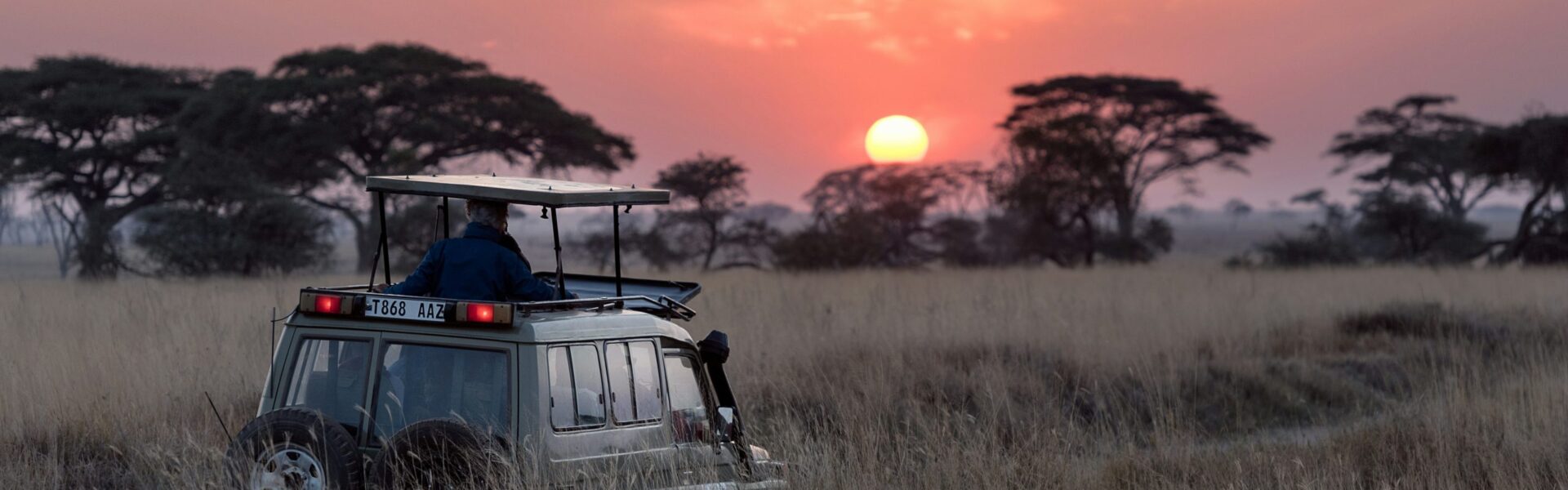 Nature Bound Africa Private Game Drive Tanzania: The Ultimate Personalized Safari Experience 1 Nature Bound Africa Private Game Drive Tanzania: The Ultimate Personalized Safari Experience
