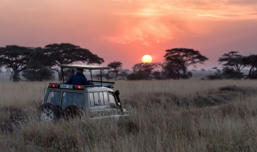 Nature Bound Africa Private Game Drive Tanzania: The Ultimate Personalized Safari Experience 2 Nature Bound Africa Private Game Drive Tanzania: The Ultimate Personalized Safari Experience