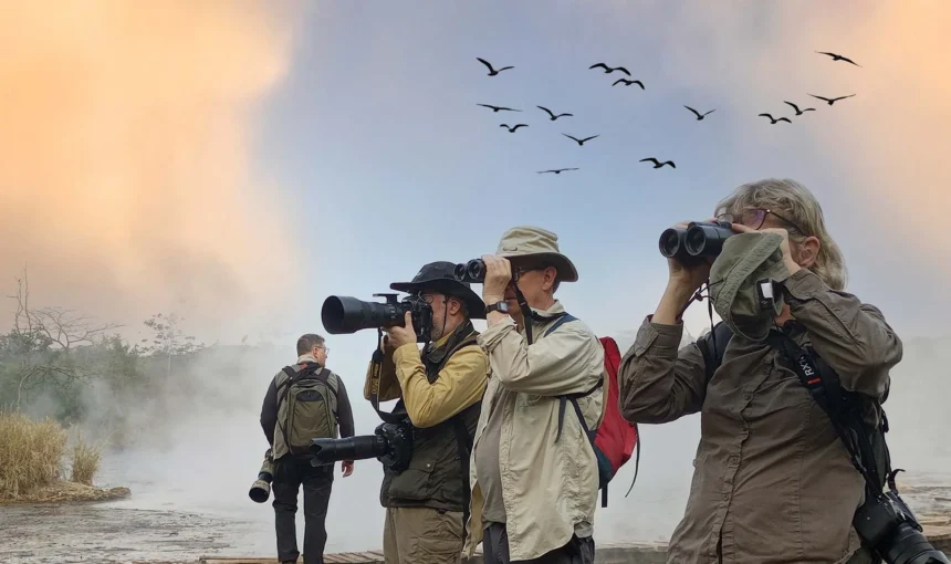Luxury Tanzania Safari (2026) – The Ultimate Guide to Luxury Safari Travel in Tanzania 1 Luxury Tanzania Safari (2026) – The Ultimate Guide to Luxury Safari Travel in Tanzania