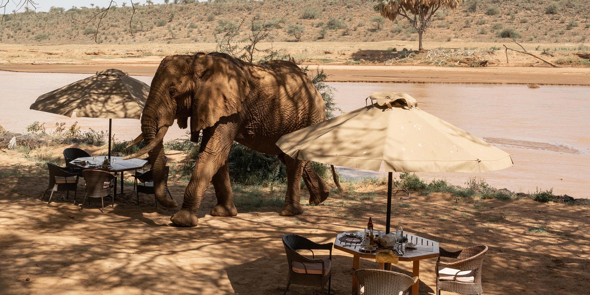 South Africa Safari FAQs