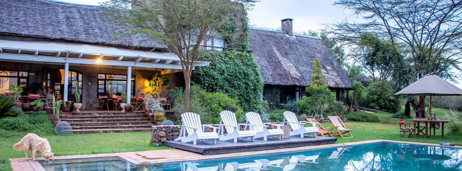 Matching Clients to the Perfect Stay