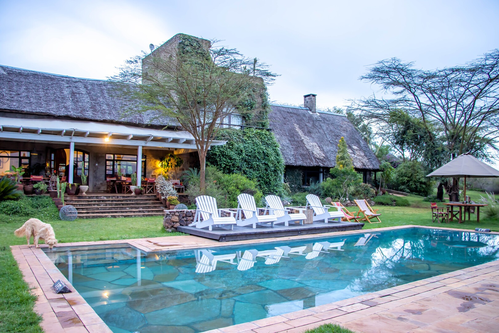 Matching Clients to the Perfect Stay