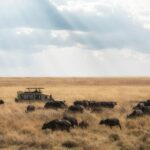 10-Day Kenya Wildlife and Cultural Safari