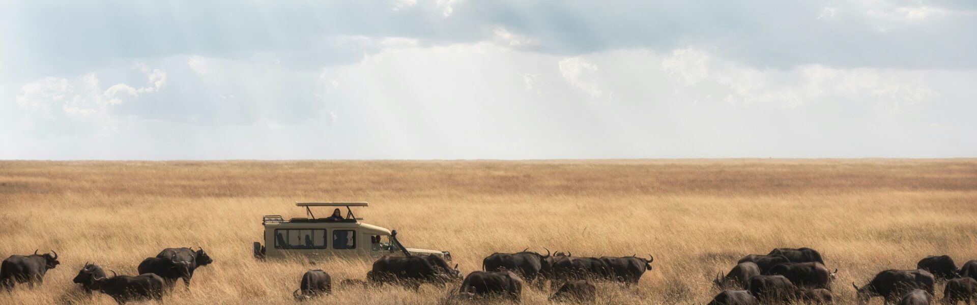 10-Day Kenya Wildlife and Cultural Safari 1 10-Day Kenya Wildlife and Cultural Safari