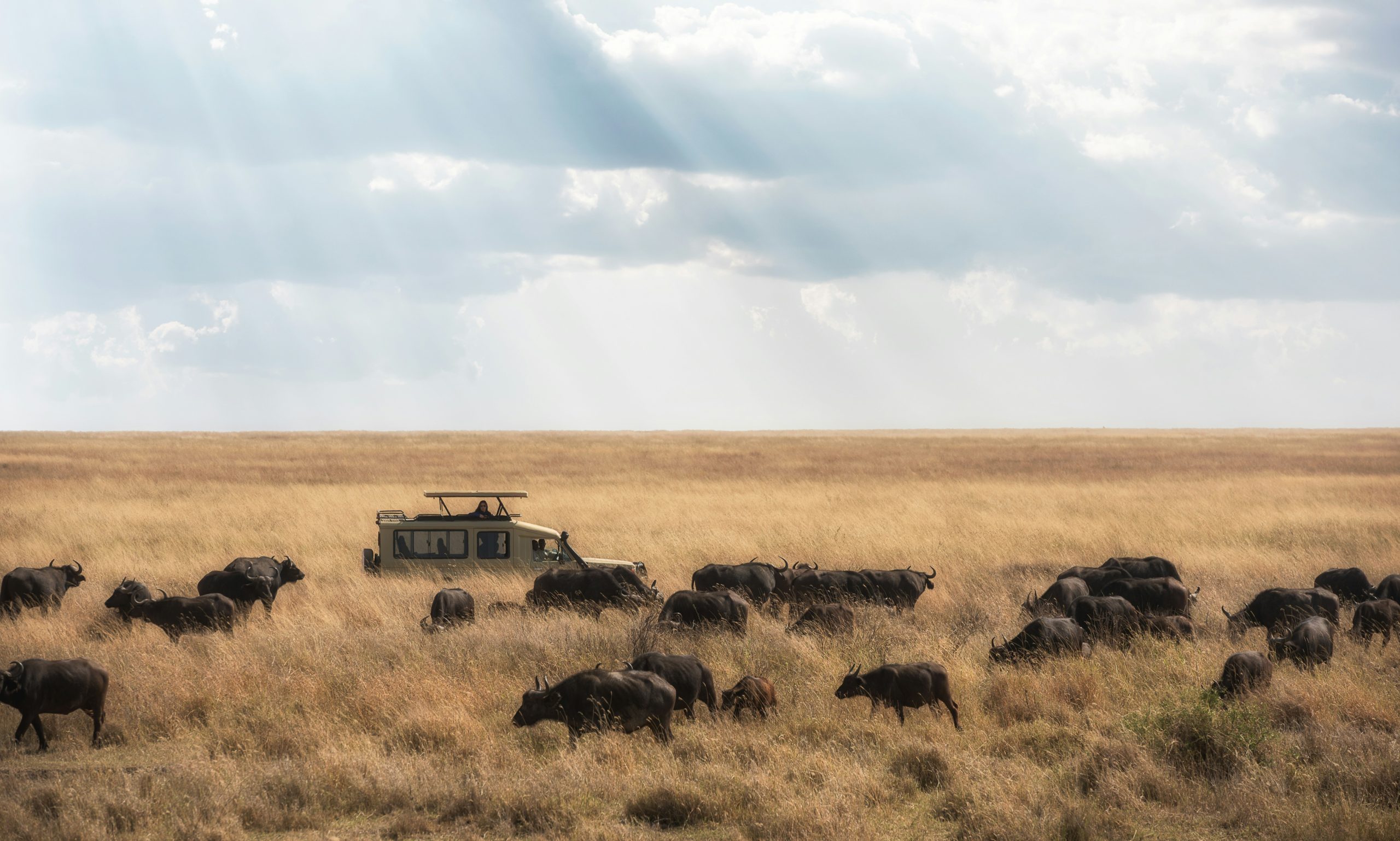 10-Day Kenya Wildlife and Cultural Safari