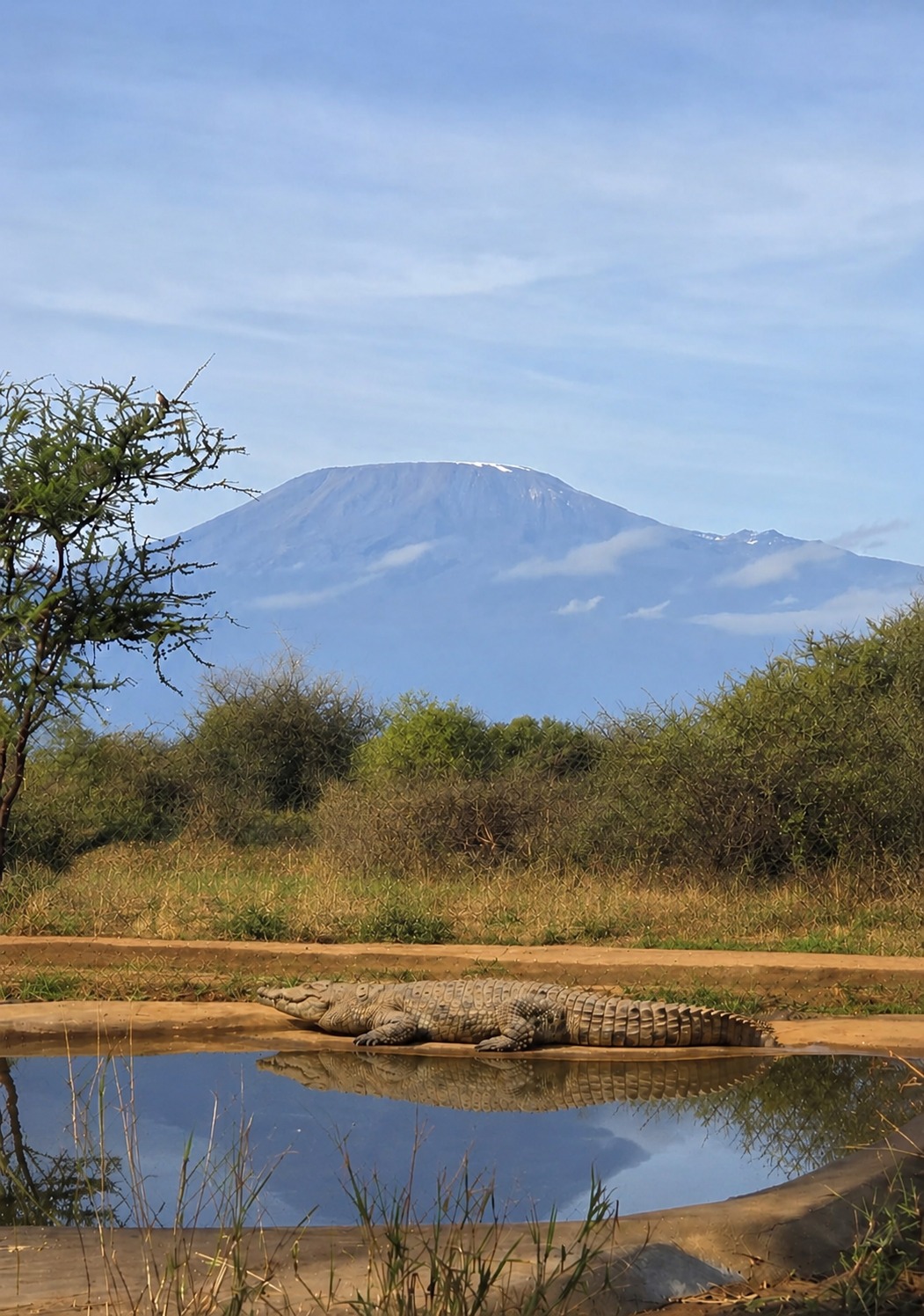 Visit Amboseli Crocodile Park Near Kimana Gate